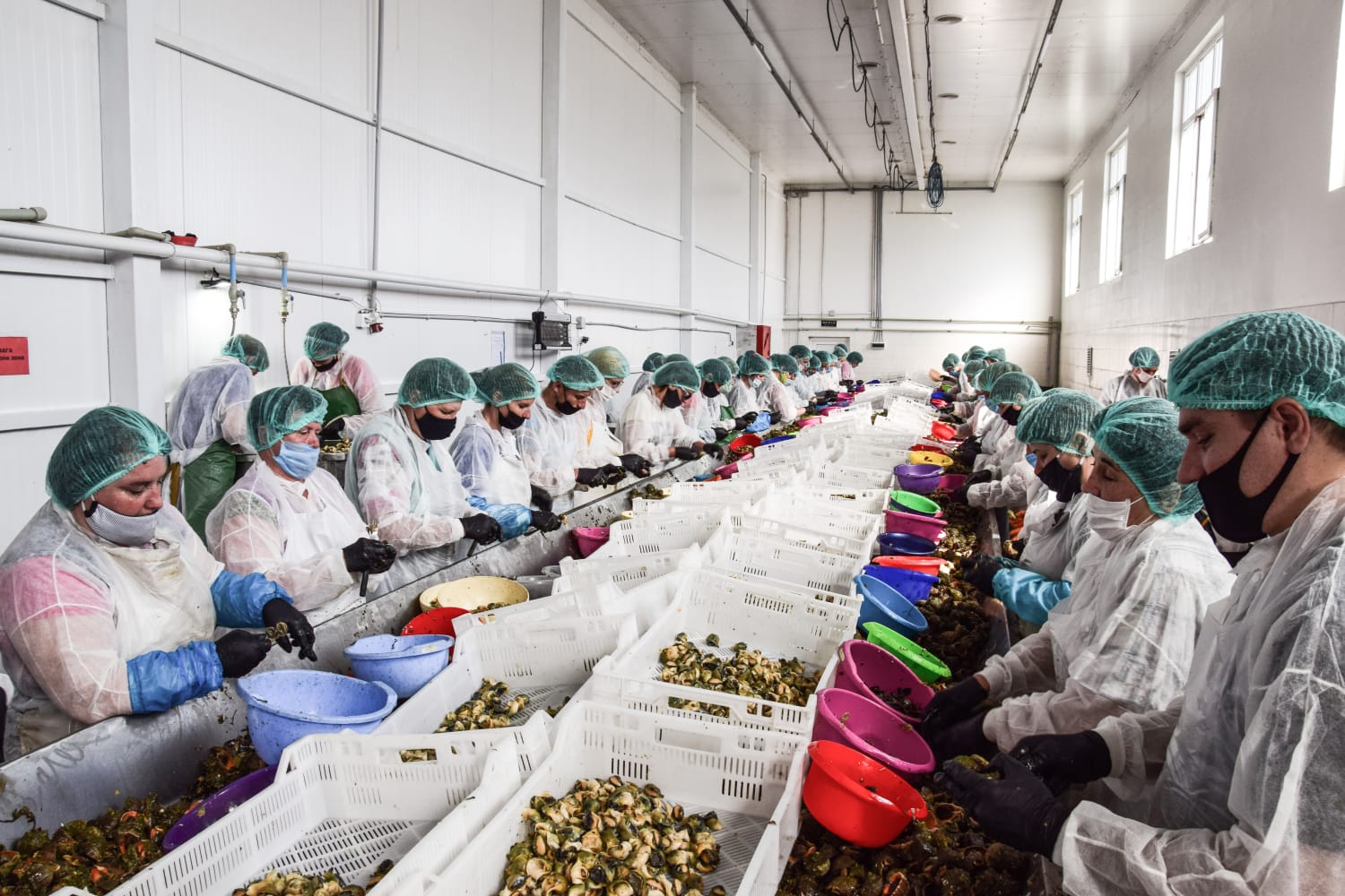 We are proud to offer the finest seafood