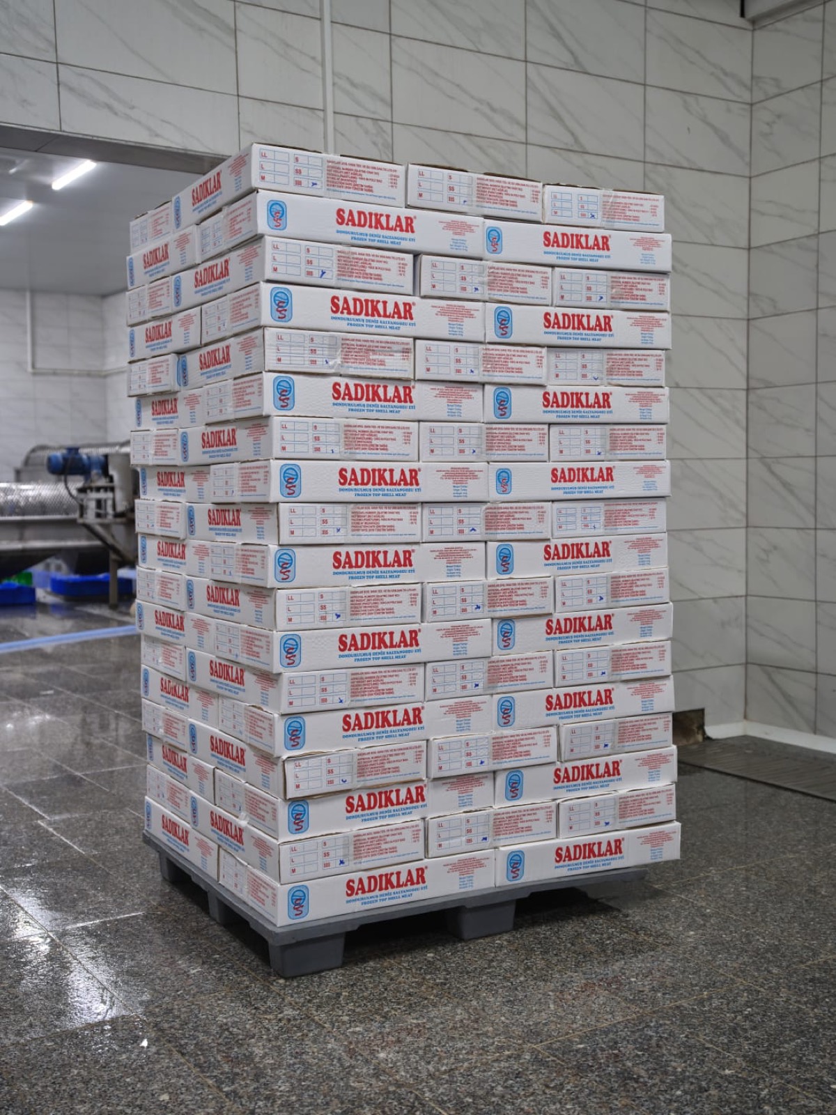 SADIKLAR kolileri