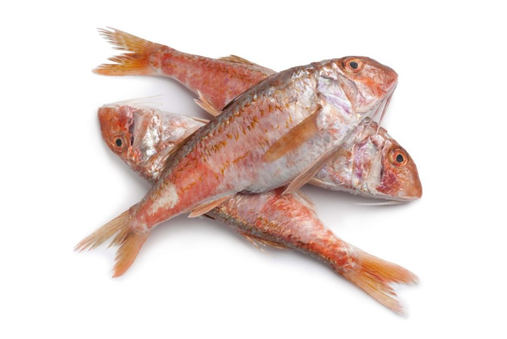 Barbun